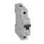Legrand 419138 RX3 kismegszakító 1P B25 6000A BIC