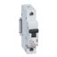 Legrand 419200 RX3 kismegszakító 1P C10 6000A BIC