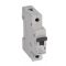 Legrand 419201 RX3 kismegszakító 1P C13 6000A BIC