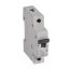 Legrand 419201 RX3 kismegszakító 1P C13 6000A BIC