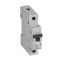 Legrand 419203 RX3 kismegszakító 1P C20 6000A BIC