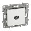 Legrand 764551 Niloé TV csillagpontos aljzat, 9,5 (apa), végzáró (1 dB), fehér